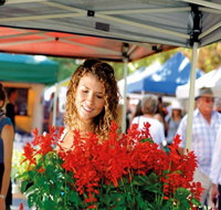 Ballina Missingham Farmers Market - Sunshine Coast Guide