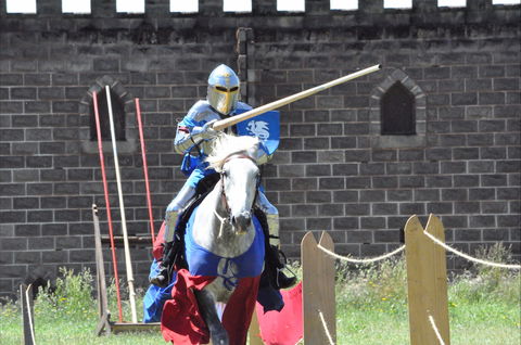 Baroque Horse Festival - Sunshine Coast Guide 1