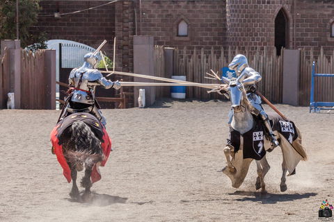 Baroque Horse Festival - Sunshine Coast Guide 2