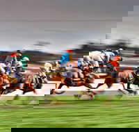 Grafton July Racing Carnival - Sunshine Coast Guide