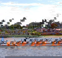 Jacaranda Dragon Boat Races - Sunshine Coast Guide