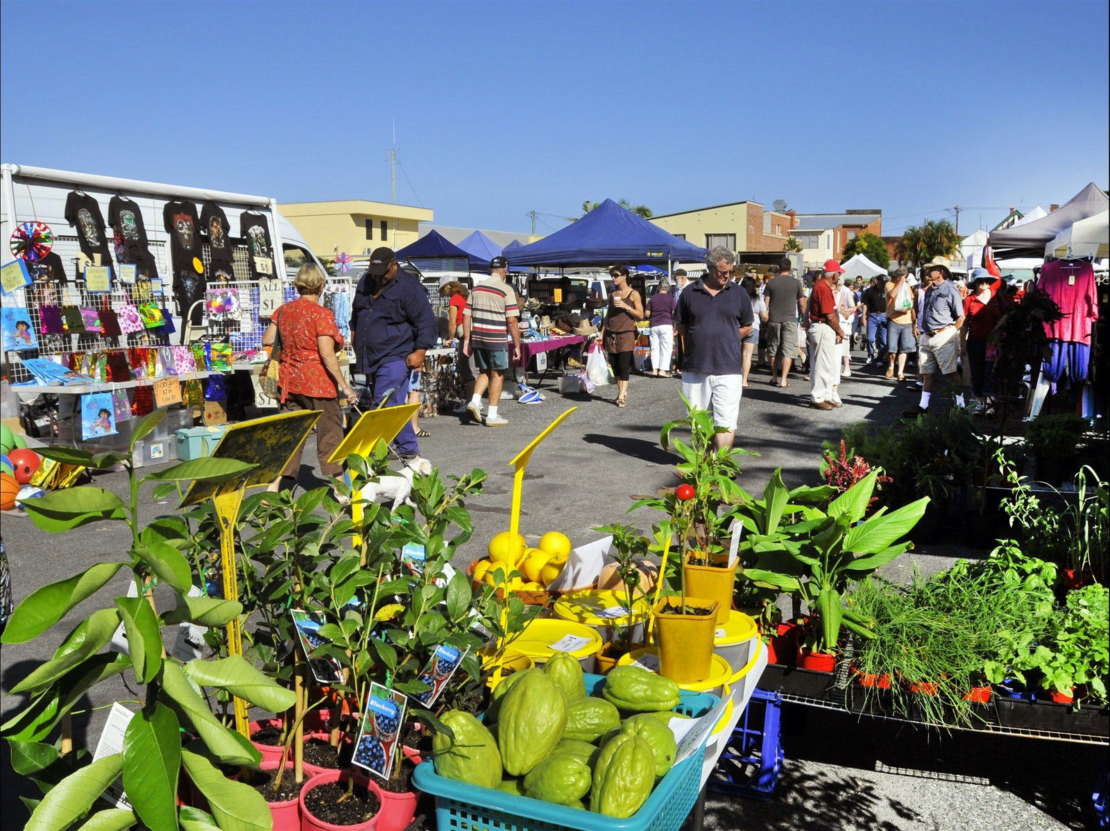 Ashby NSW Sunshine Coast Guide