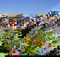 Maclean Community Monthly Markets - Sunshine Coast Guide