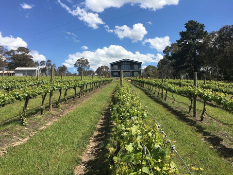 Mortimer's Diploma Of Taste - Sunshine Coast Guide 0