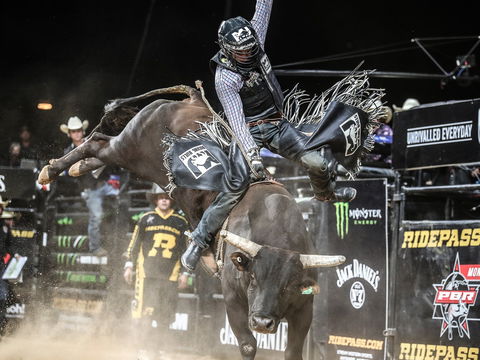 PBR Hawkesbury Stampede - Sunshine Coast Guide 0