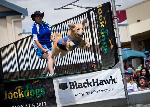 Perth Royal Show - Sunshine Coast Guide 2