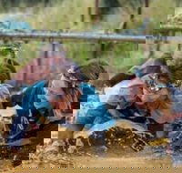 Suck It Up Buttercup Vikings Obstacle Course - Sunshine Coast Guide