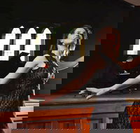 SwanSongs - Ghosts Fools and Seers - Sunshine Coast Guide