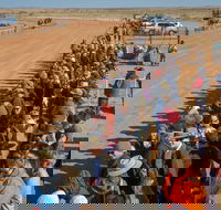 28th Marree Australasian CAMEL CUP 3 July 2021 - Sunshine Coast Guide