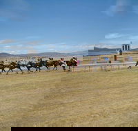 Adaminaby Cup Race Day - Sunshine Coast Guide