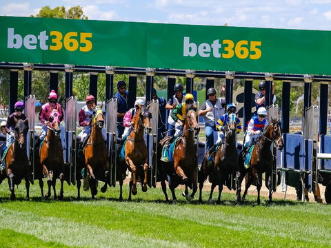 Bet 365 Caulfield Cup Day At Wodonga Race Course - Sunshine Coast Guide 1