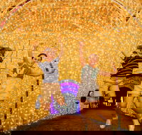 Christmas Lights Spectacular New Year's Eve at Hunter Valley Gardens - Sunshine Coast Guide