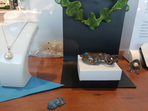 Cuttlefish Art Trail - Cuttlefest 2020 - Sunshine Coast Guide 1