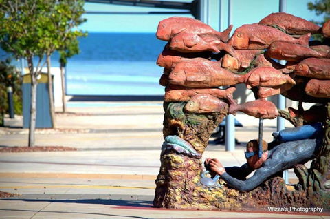 Cuttlefish Art Trail - Cuttlefest 2020 - Sunshine Coast Guide 2