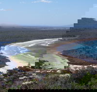 Head to Head Walk Run - Sunshine Coast Guide
