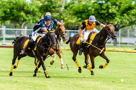 Land Rover Polo  In The City - Sunshine Coast Guide 1