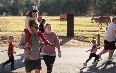 MAAS Group Dubbo Stampede Running Festival - Sunshine Coast Guide 1