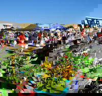 Maclean Macmarket Day - Sunshine Coast Guide