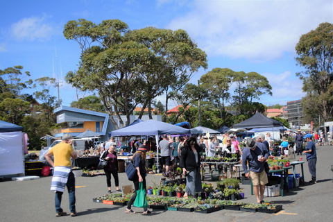 Marine Rescue Ulladulla Wharf Markets - Sunshine Coast Guide 1