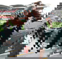 Stadium Stomp Adelaide Oval - Postponed - Sunshine Coast Guide