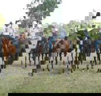 Stroud Show - Sunshine Coast Guide