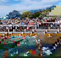 The Crescent Head Santa Surf - Sunshine Coast Guide