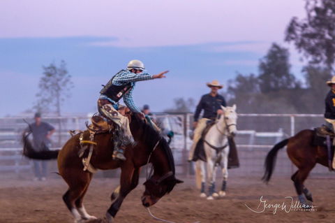 Walgett Charity Bushman's Carnival Rodeo And Campdraft - Sunshine Coast Guide 1