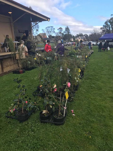 Yea Railway Market - Sunshine Coast Guide 2
