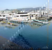 Airlie Beach parkrun - Sunshine Coast Guide