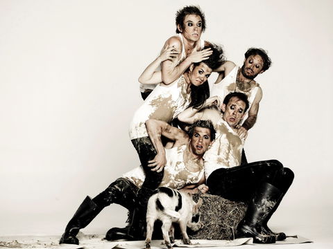 Animal Farm - Launceston - Sunshine Coast Guide 0