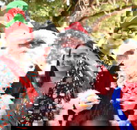 Christmas on the Plains - Quirindi - Sunshine Coast Guide