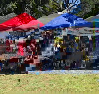 Dogs in the Park Shell Harbour - Sunshine Coast Guide