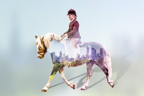 EQUITANA Melbourne - Sunshine Coast Guide 0