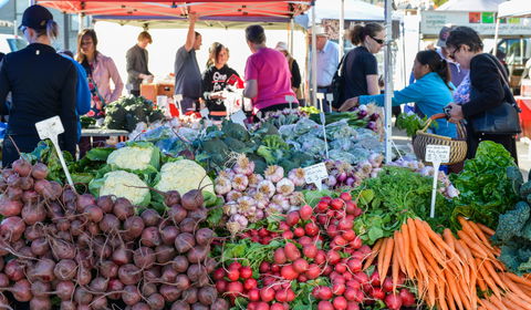 Harvest Launceston Community Farmers' Market - Sunshine Coast Guide 2