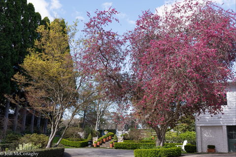 Leura Gardens Festival - Cancelled - Sunshine Coast Guide 0