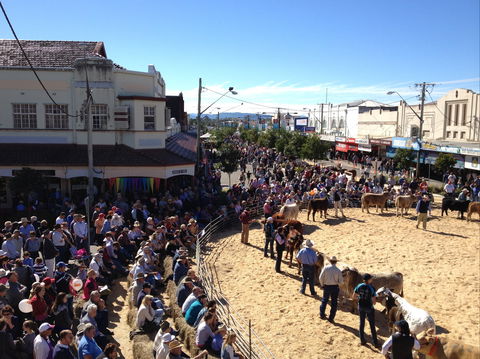 NCMC Casino Beef Week - Sunshine Coast Guide 0