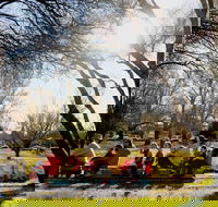 The Orange Society of Model Engineers - Miniature Train Rides - Sunshine Coast Guide