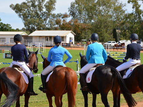 The Gunnedah Show - Sunshine Coast Guide 2