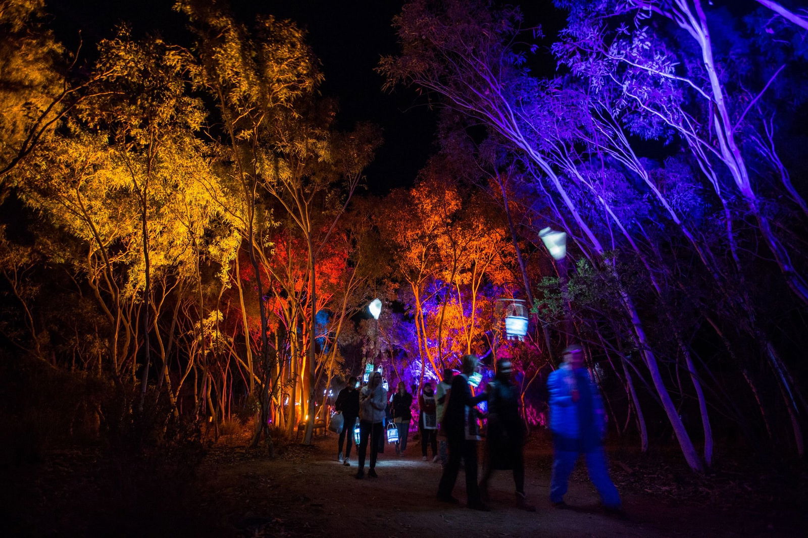 Larapinta NT Sunshine Coast Guide