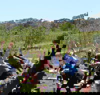 Yoga in the Vines - Sunshine Coast Guide