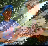 Zoocation at the National Zoo  Aquarium - Sunshine Coast Guide