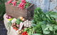Ma Ma Creek Markets - thumb 0