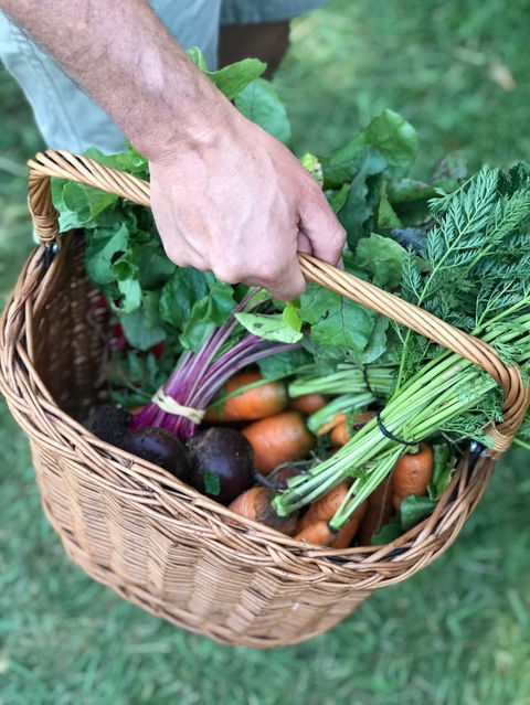 Orange Farmers Market - Sunshine Coast Guide 0