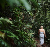 Daintree Ecolodge - Sunshine Coast Guide