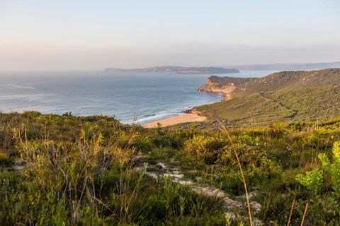 Pretty Beach House - Sunshine Coast Guide 4