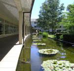 ANU University House Hotel - Sunshine Coast Guide