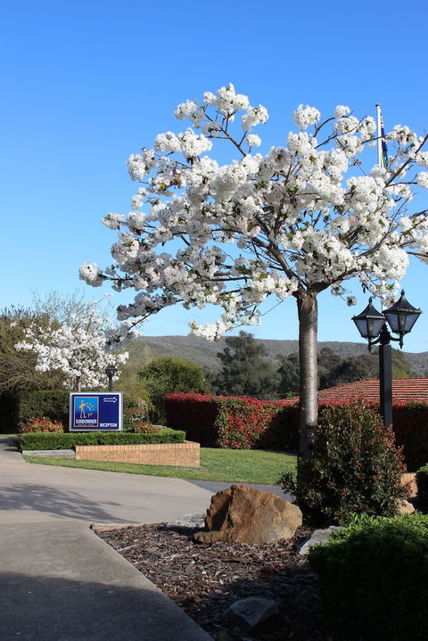 Hume Country Motor Inn - Sunshine Coast Guide 0