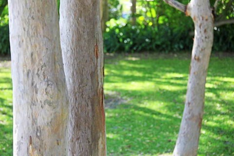 The Retreat Port Stephens - Sunshine Coast Guide 2
