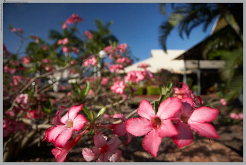Seashells Broome - Sunshine Coast Guide 4