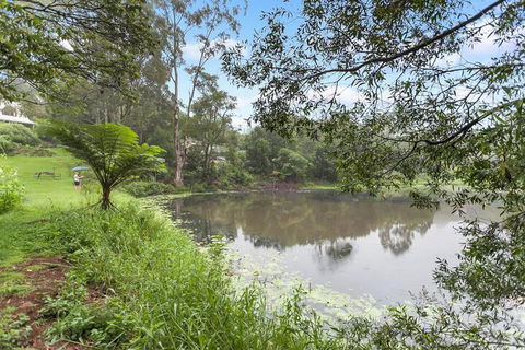 Maleny Wildlife Holiday House - Sunshine Coast Guide 4